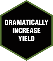 DRAMATICALLY INCREASE YIELD