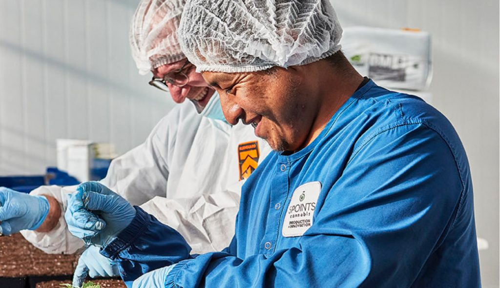 Two team members at 5 points smiling while they work