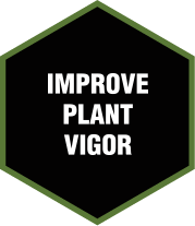 IMPROVE PLANT VIGOR