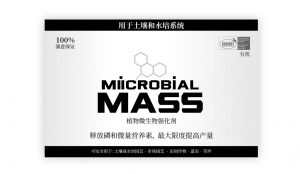 MIICROBIAL MASS Chinese booklet cover.