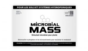 MIICROBIAL MASS French booklet cover.