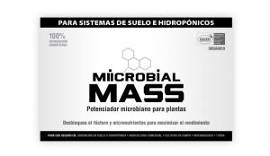 MIICROBIAL MASS Spanish booklet cover.