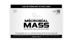 MIICROBIAL MASS Vietnamese booklet cover.