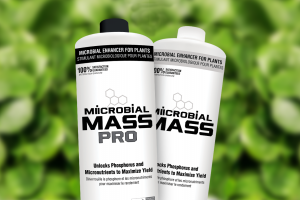 Two bottles of MIICROBIAL MASS and MIICROBIAL MASS PRO on a leafy background